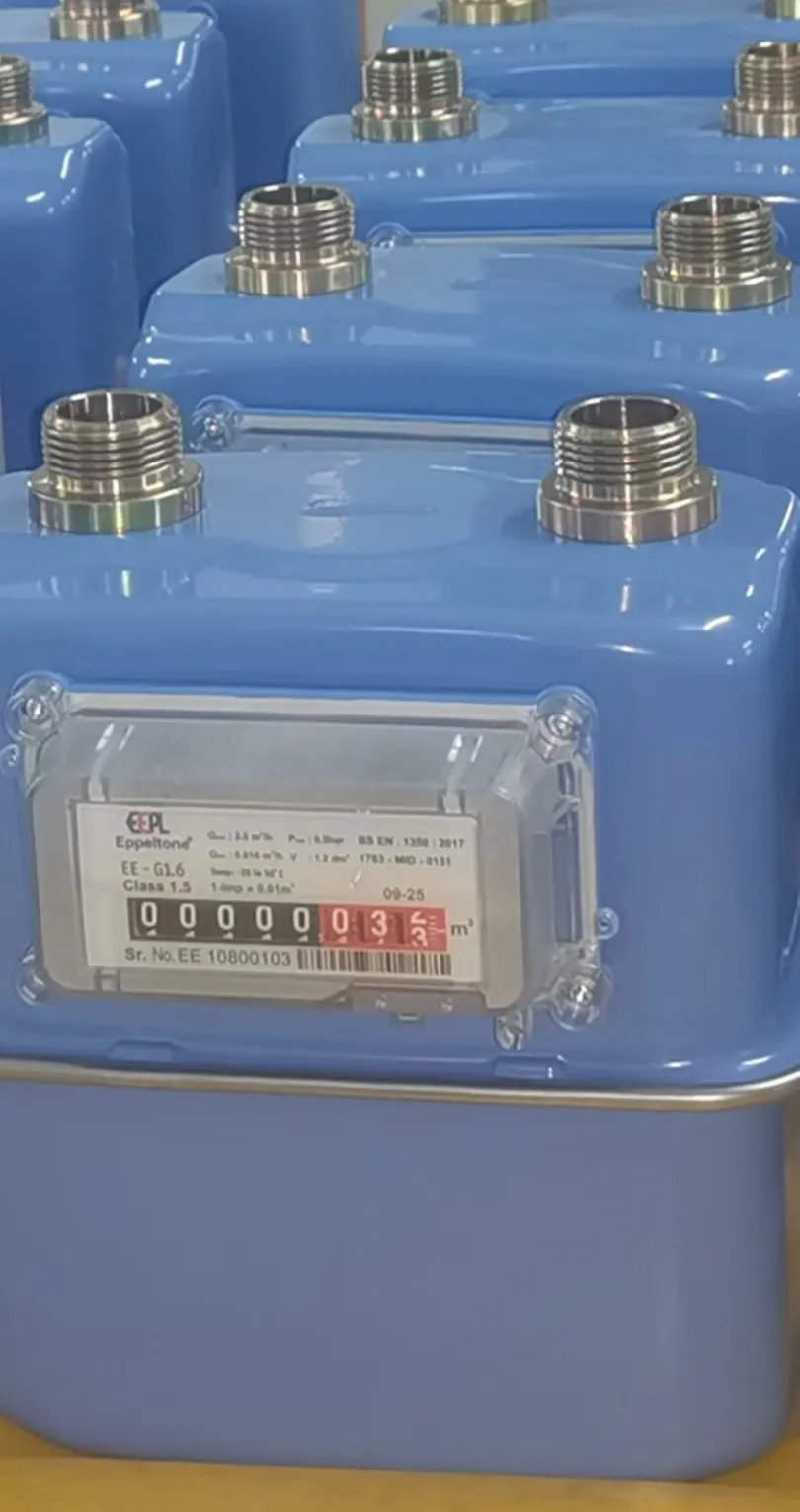 Gas Meter Assembly